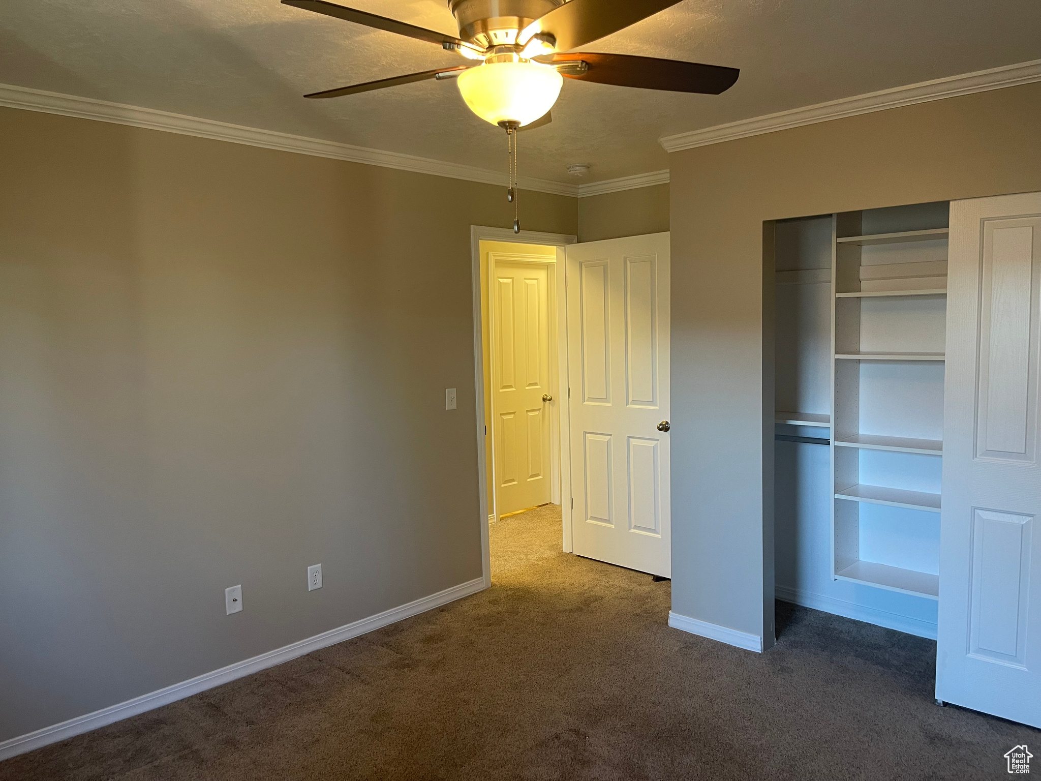 3rd bedroom features a closet with built-ins, baseboards, ornamental molding, and carpet