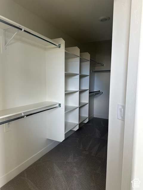 Walk in closet with dark carpet