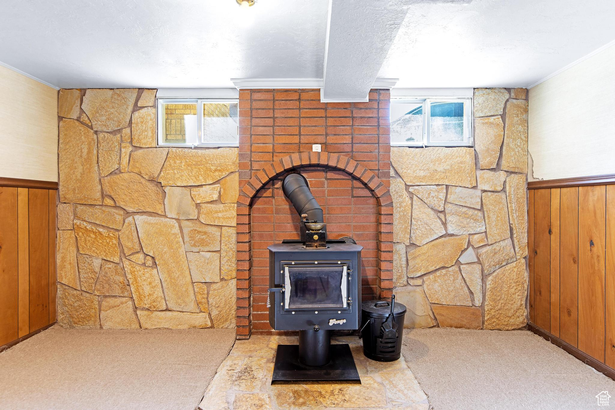 Details featuring a wainscoted wall, carpet floors, a wood stove, wood walls, and crown molding