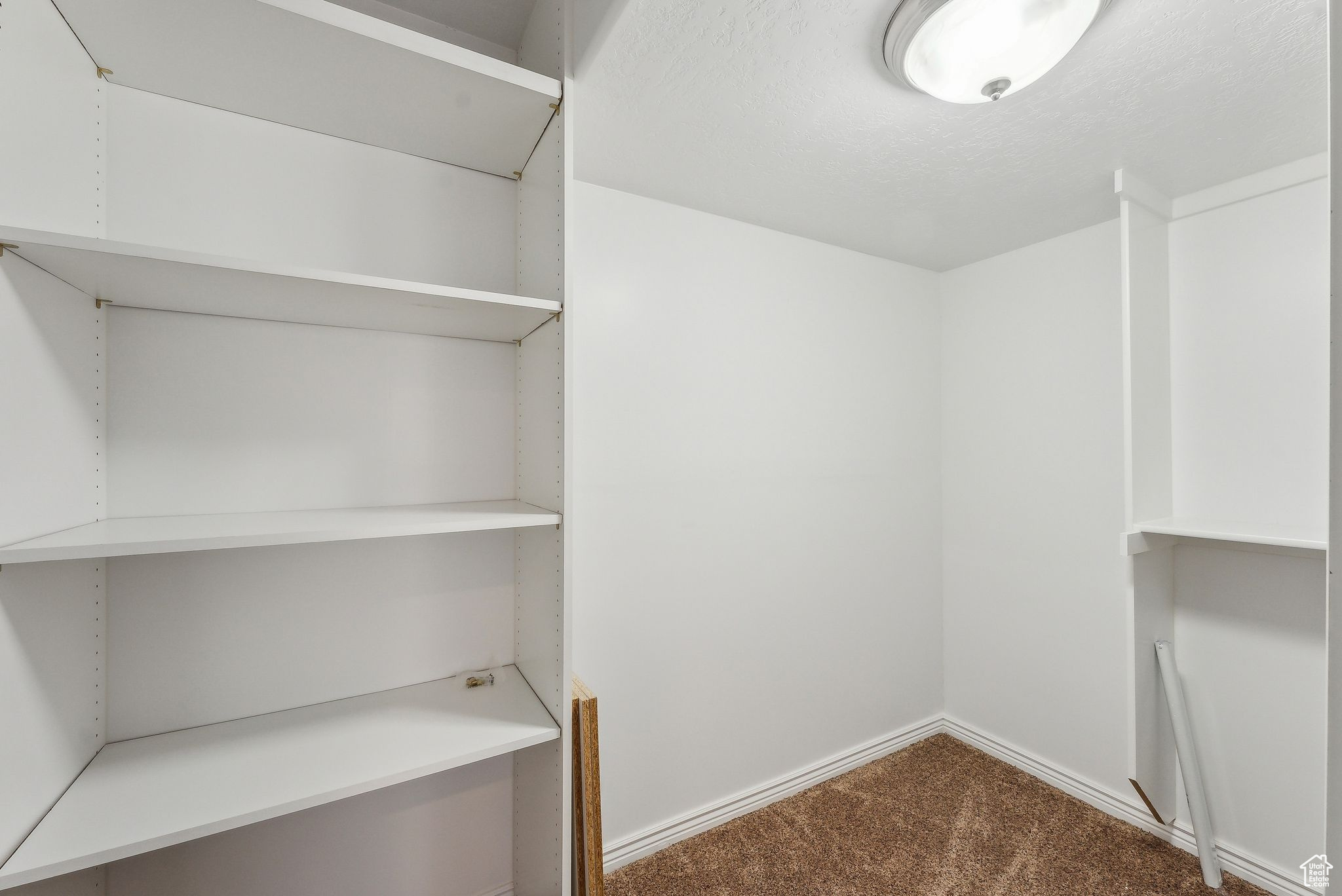 Walk in closet with dark carpet