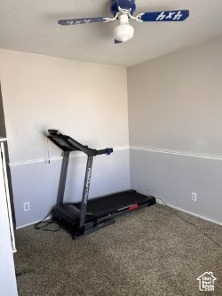 Sunny Bedroom or Workout Room