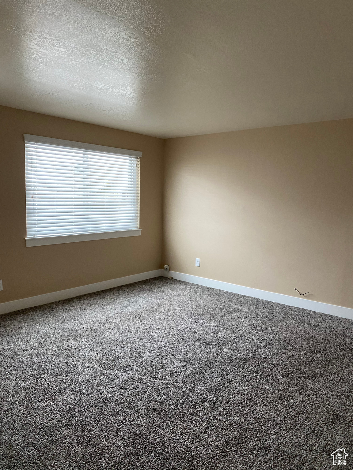 455 E Vine:Family Room