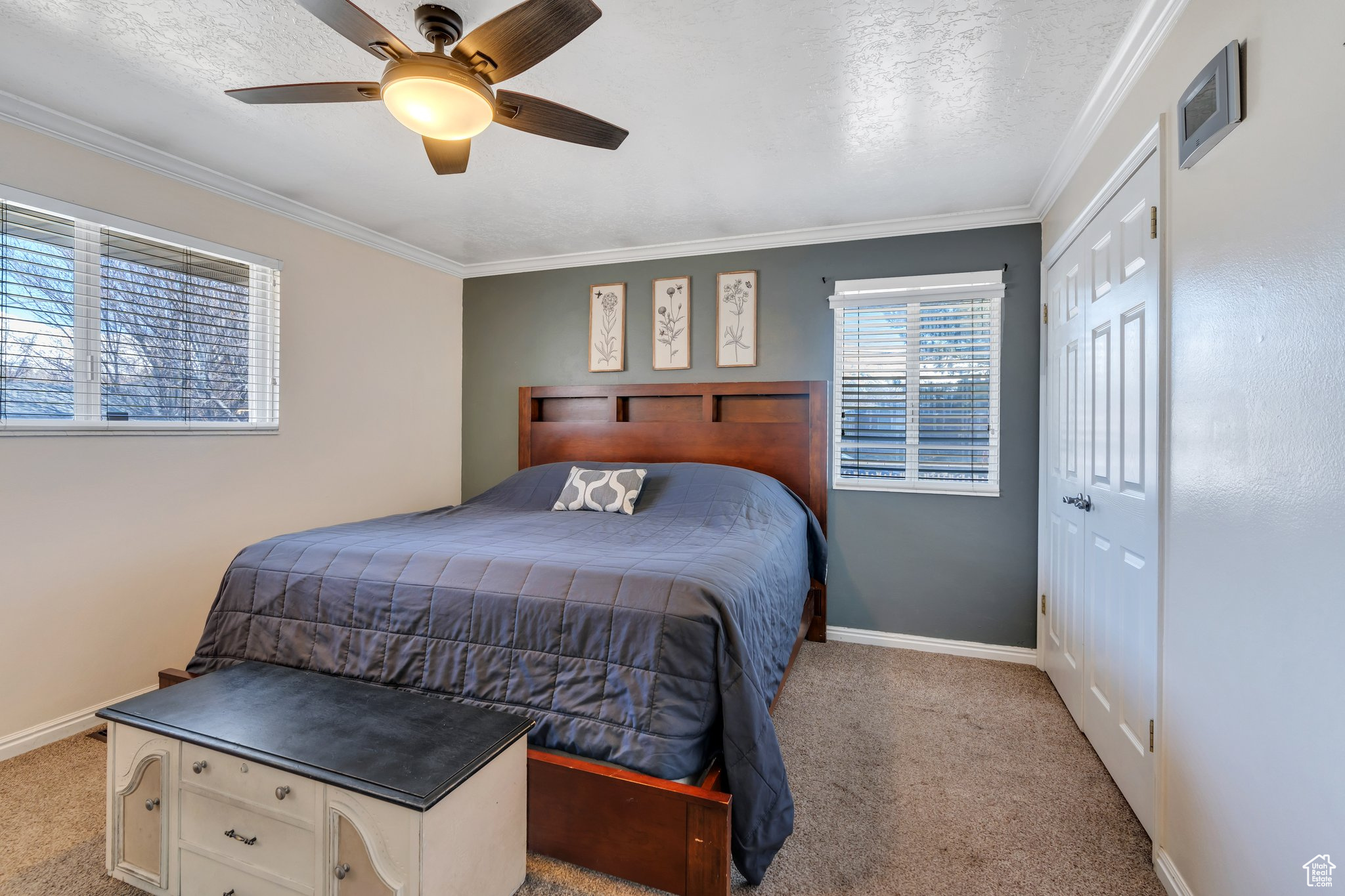 Carpeted bedroom featuring baseboards, a textured ceiling, ceiling fan, and crown molding