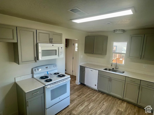 Kitchen with visible vents, gray cabinets, a sink, white appliances, and light wood-style floors