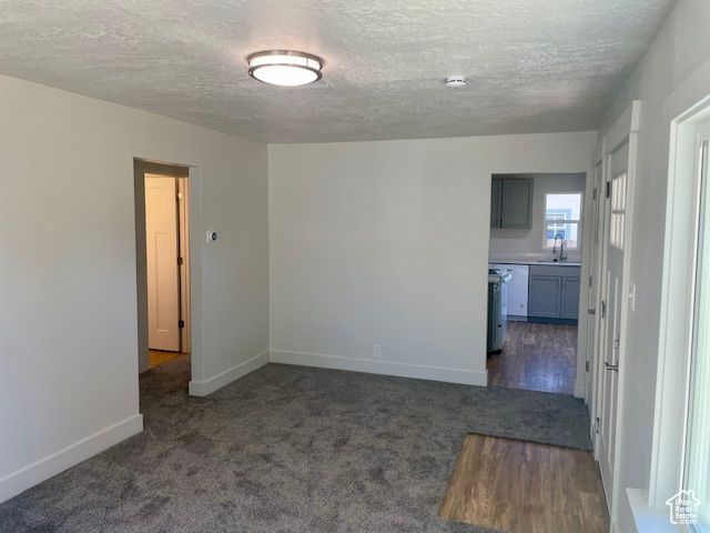 Carpeted spare room featuring a sink, baseboards, and a textured ceiling