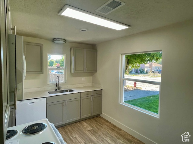 Kitchen with visible vents, light countertops, gray cabinets, white appliances, and a sink