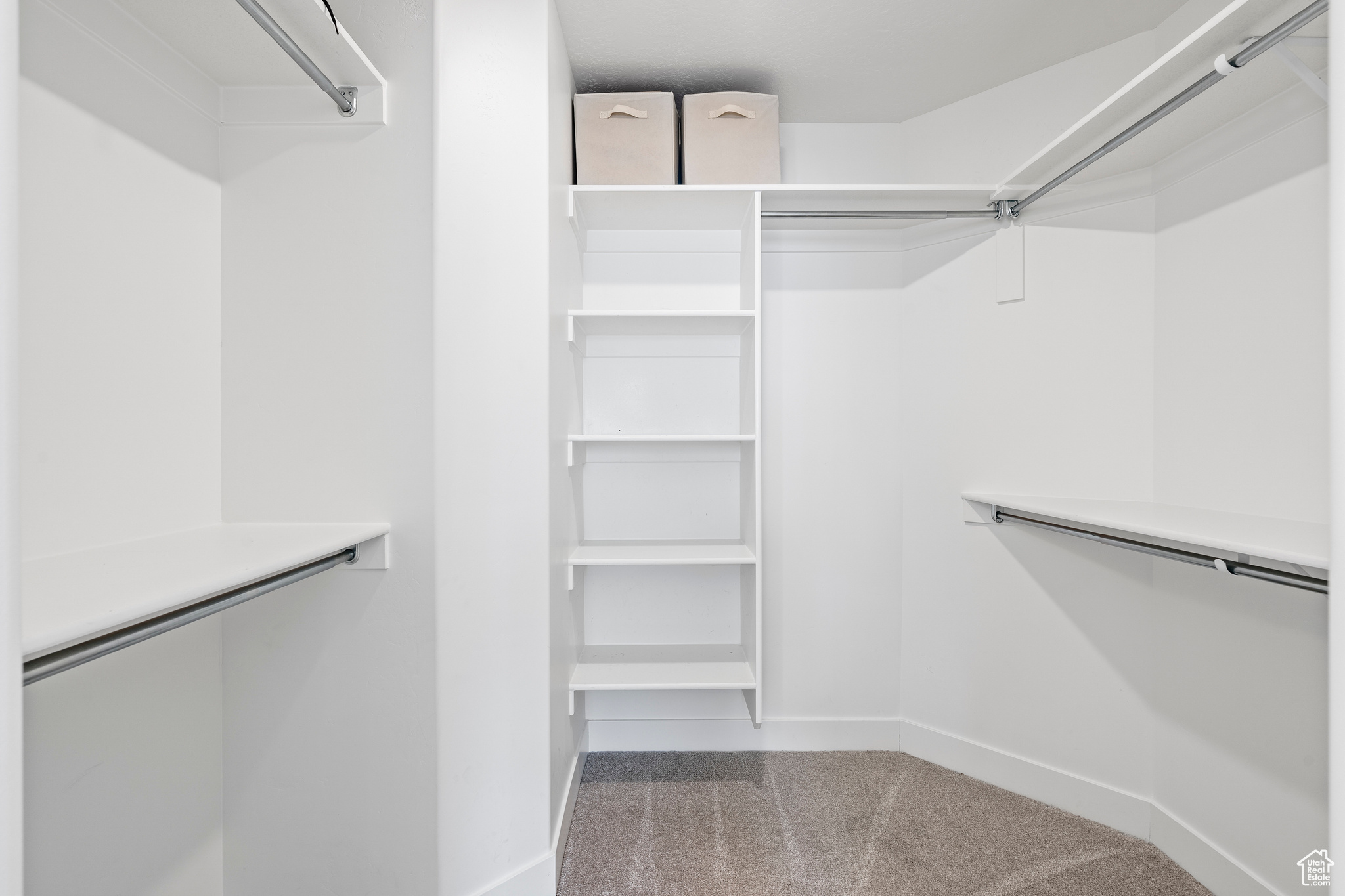 Walk in closet with carpet floors