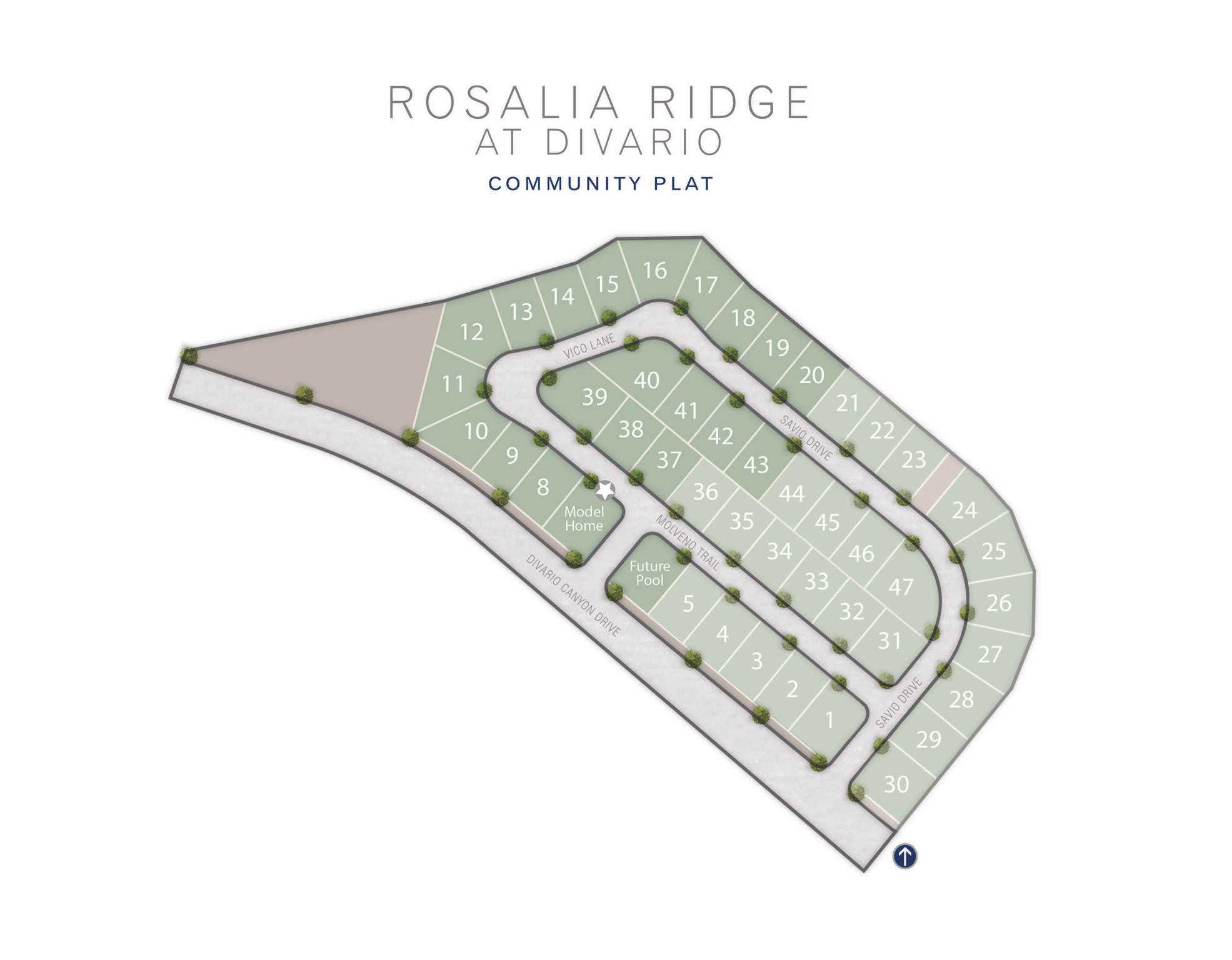 Rosalia Ridge plat map