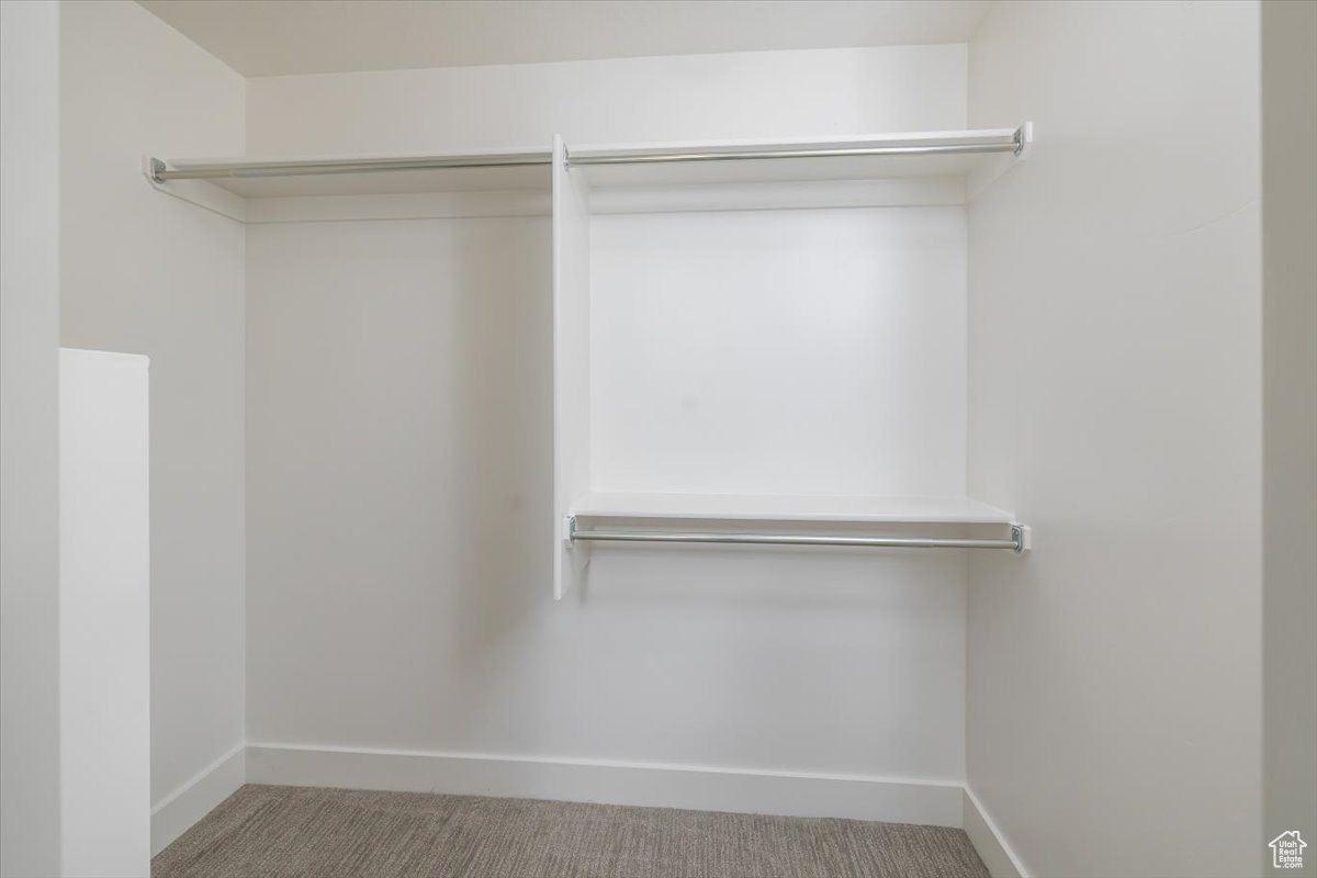 Spacious closet with carpet floors