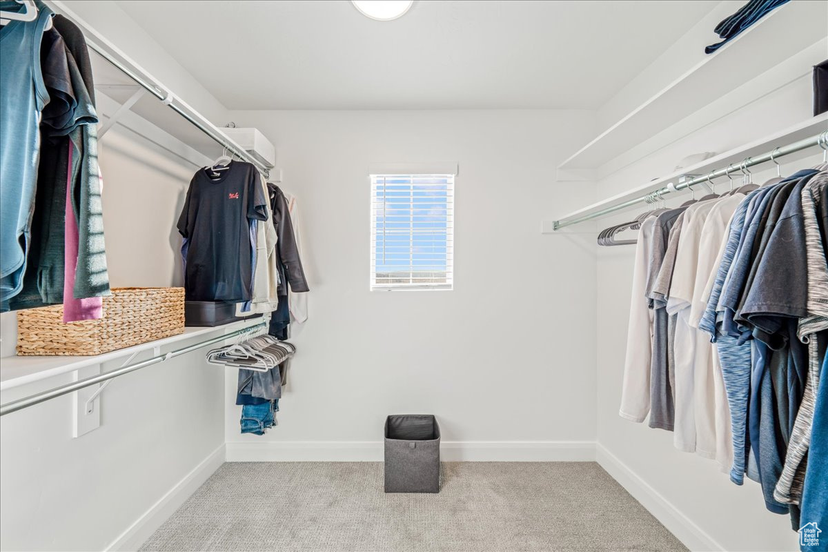 Spacious closet featuring light colored carpet