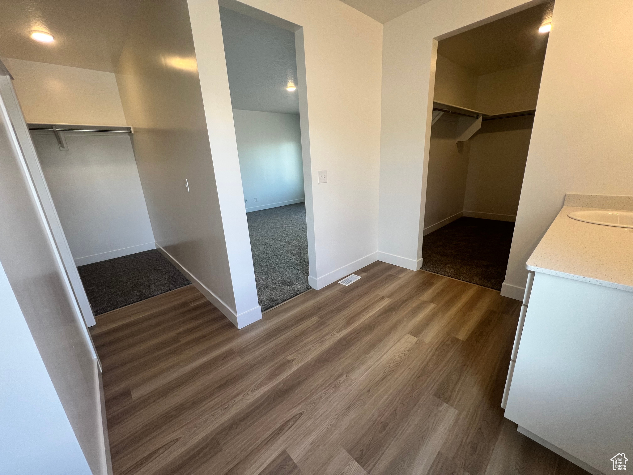 Spacious closet featuring dark wood finished floors and a sink