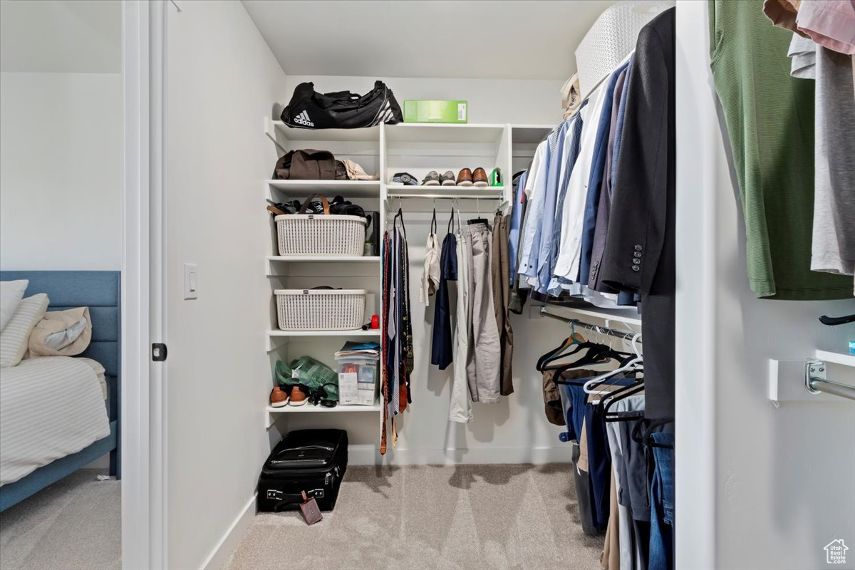 Spacious closet featuring carpet