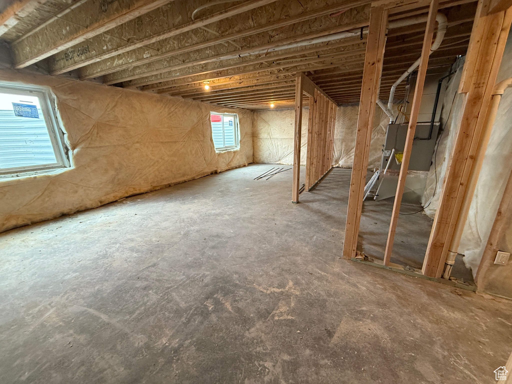 Unfinished Basement