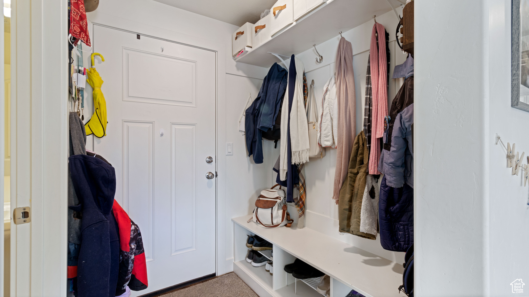 Mudroom featuring carpet