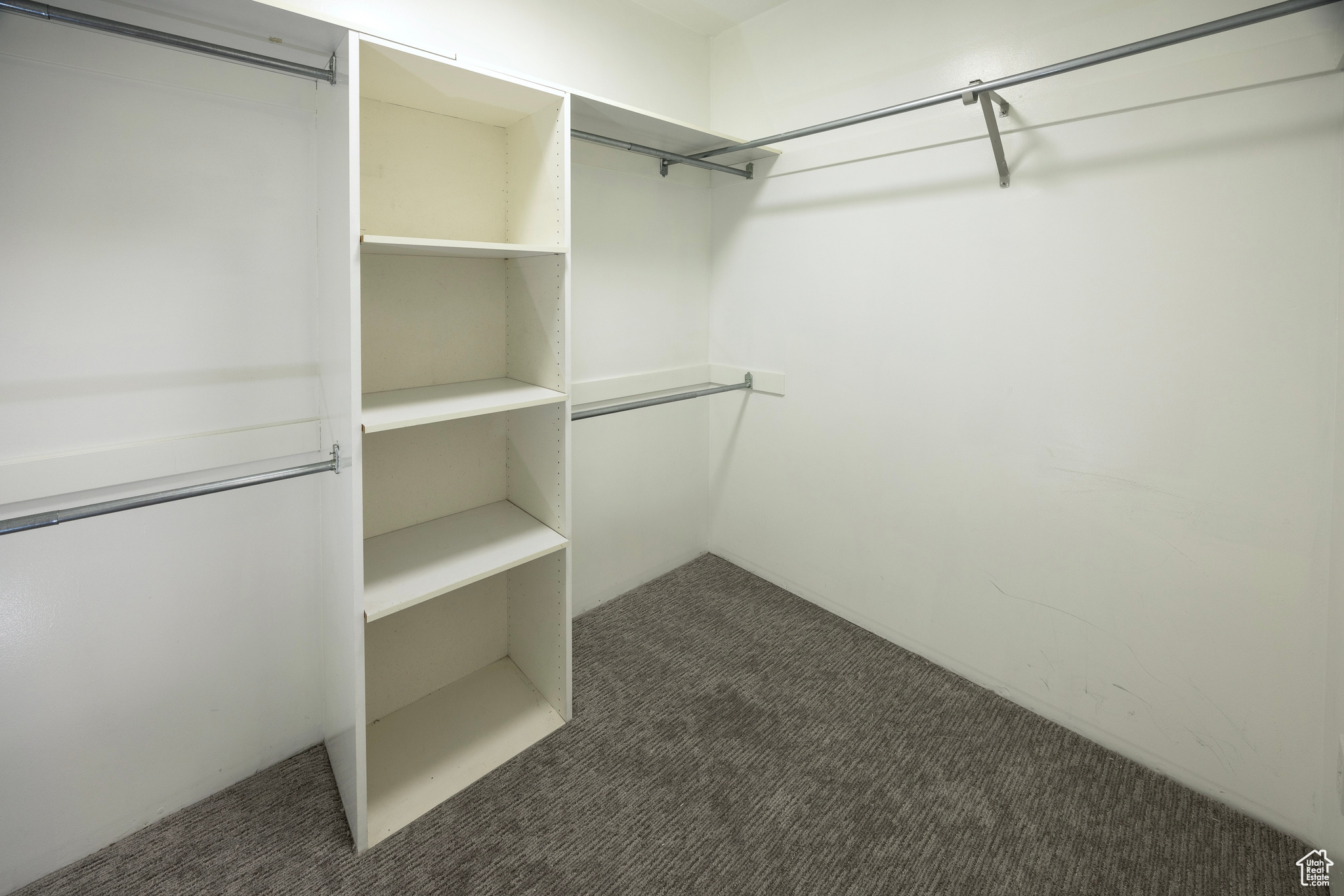 Walk in closet with carpet flooring