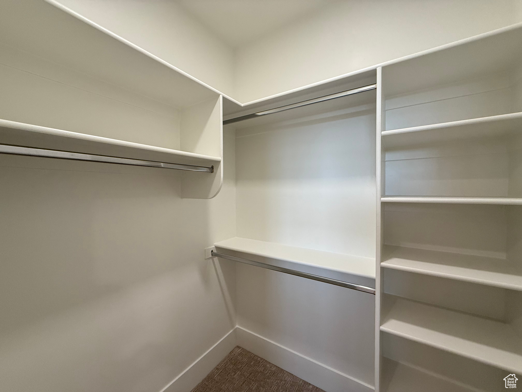 Spacious closet featuring dark carpet