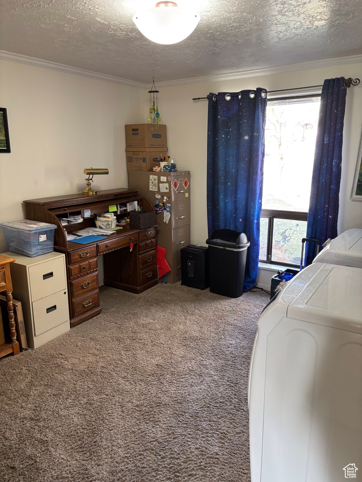 Carpeted bedroom featuring crown molding, washing machine and dryer, and a textured ceiling