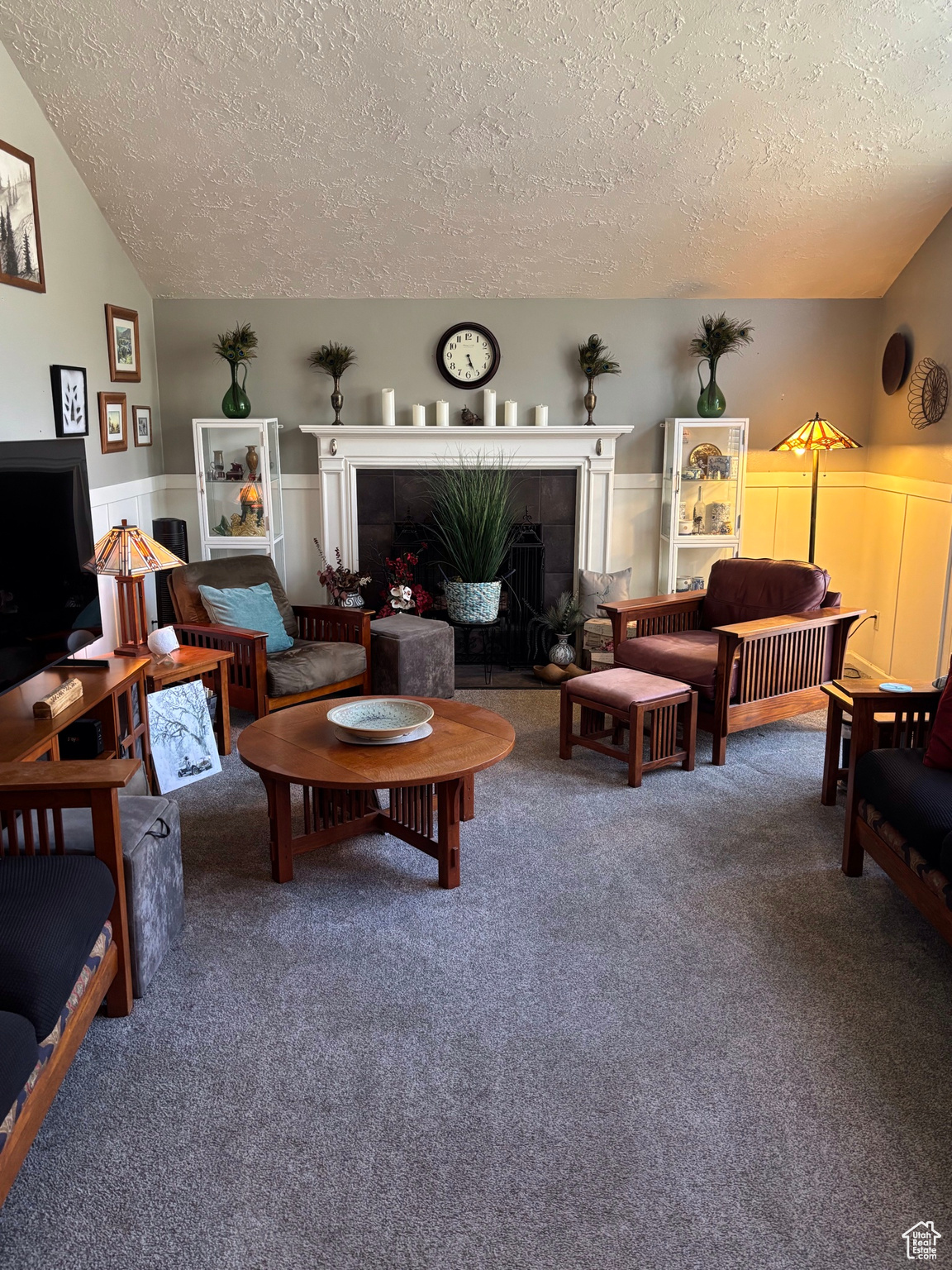 Living area with a wainscoted wall, a textured ceiling, carpet, and vaulted ceiling