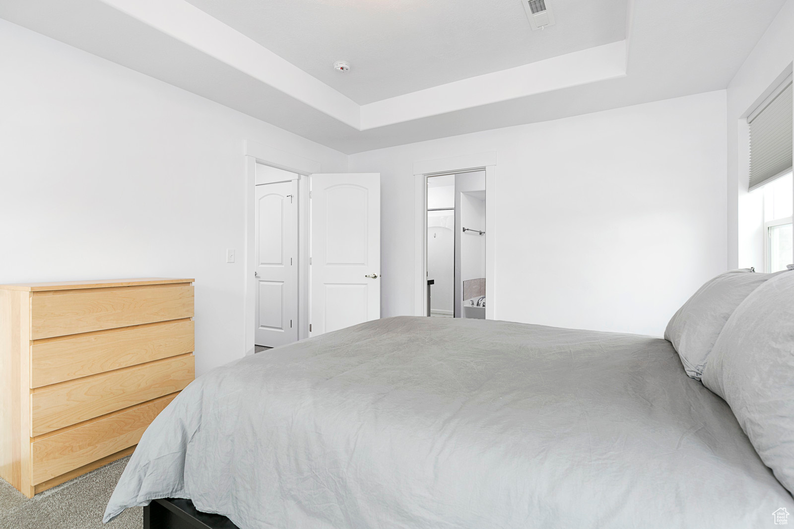 Bedroom with a raised ceiling, visible vents, and carpet floors