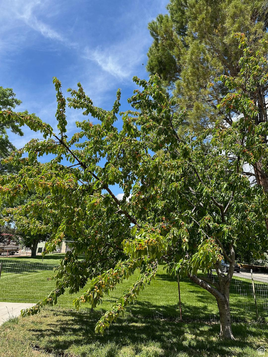 View of community with a yard and fence