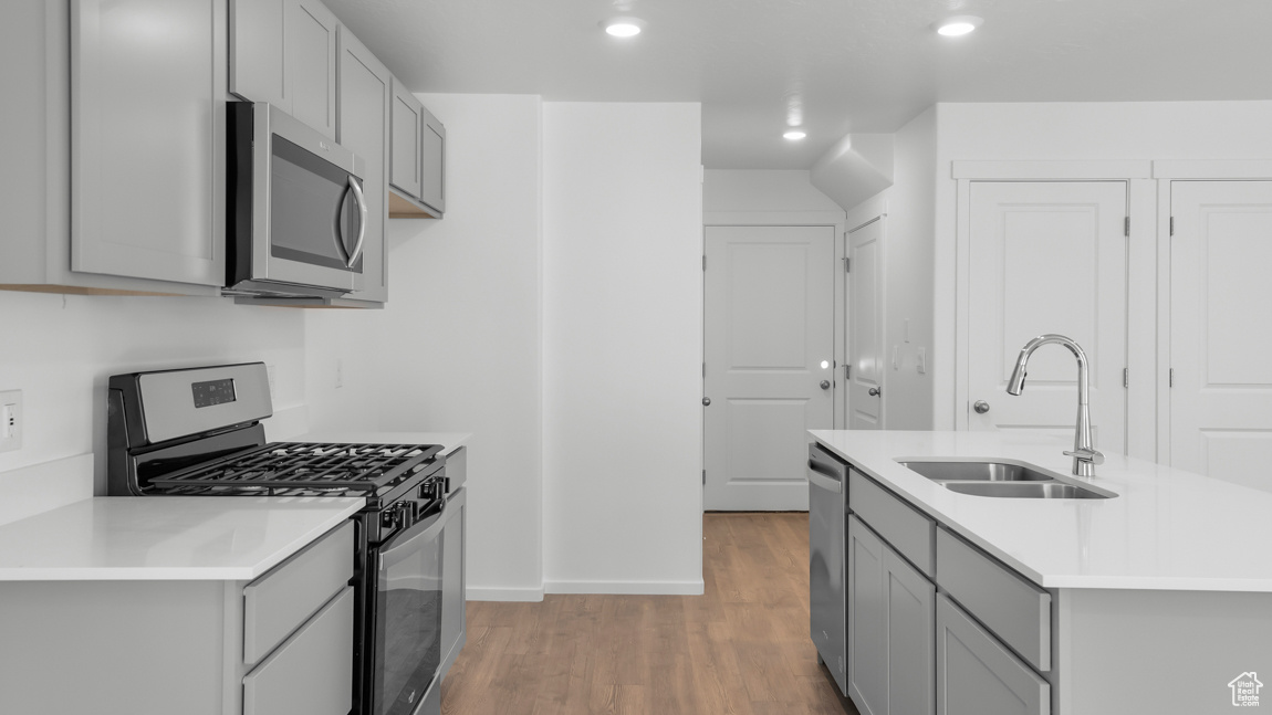 Kitchen featuring a sink, gray cabinetry, light wood finished floors, and stainless steel appliances