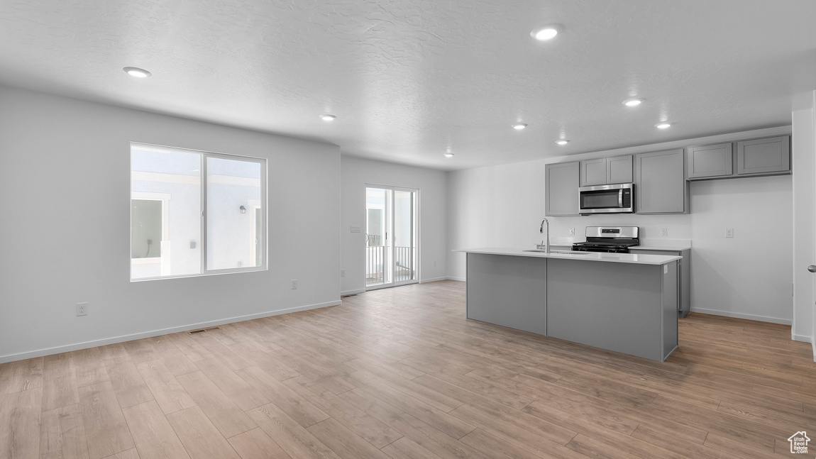 Kitchen with gray cabinets, stainless steel appliances, light wood-style flooring, and a sink