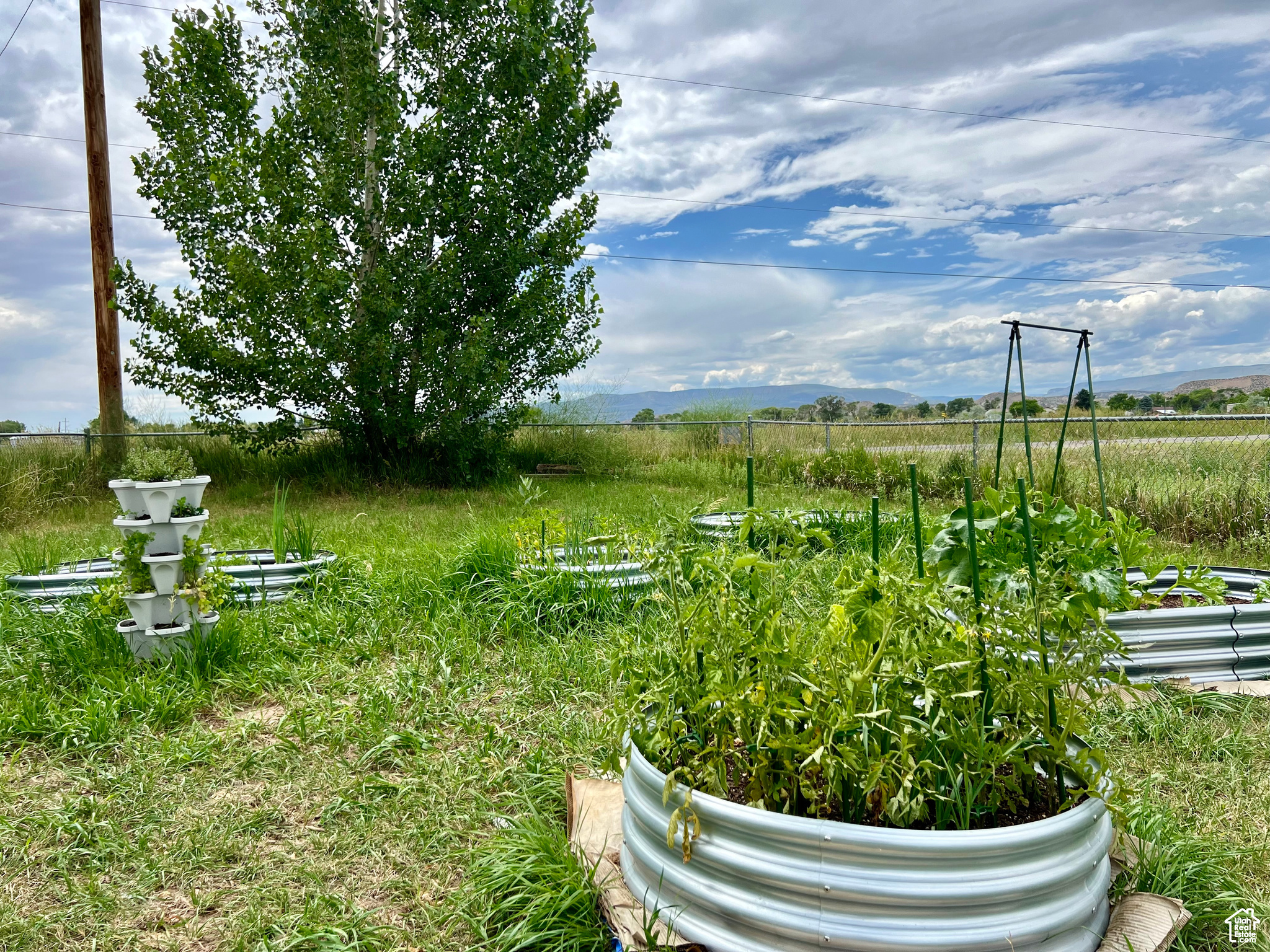 View of yard featuring a mountain view and a vegetable garden