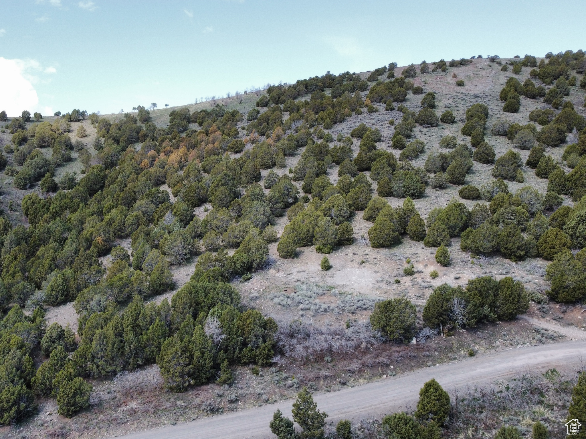 15102 S SHAGGY MOUNTAIN RD