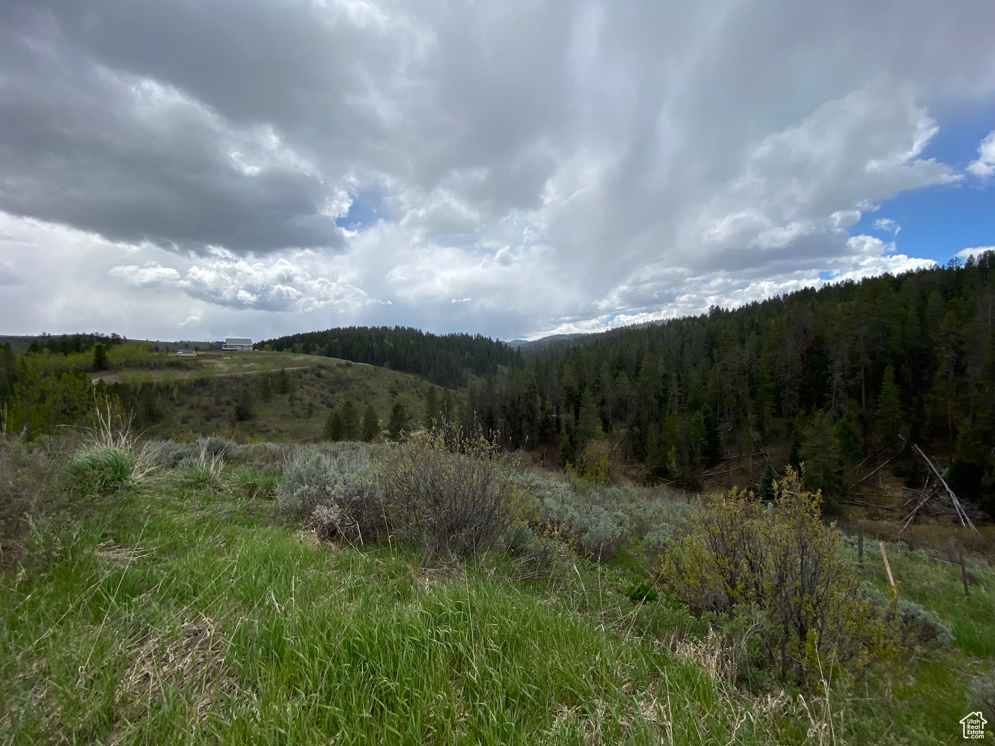 41  GROUSE LOOP RD