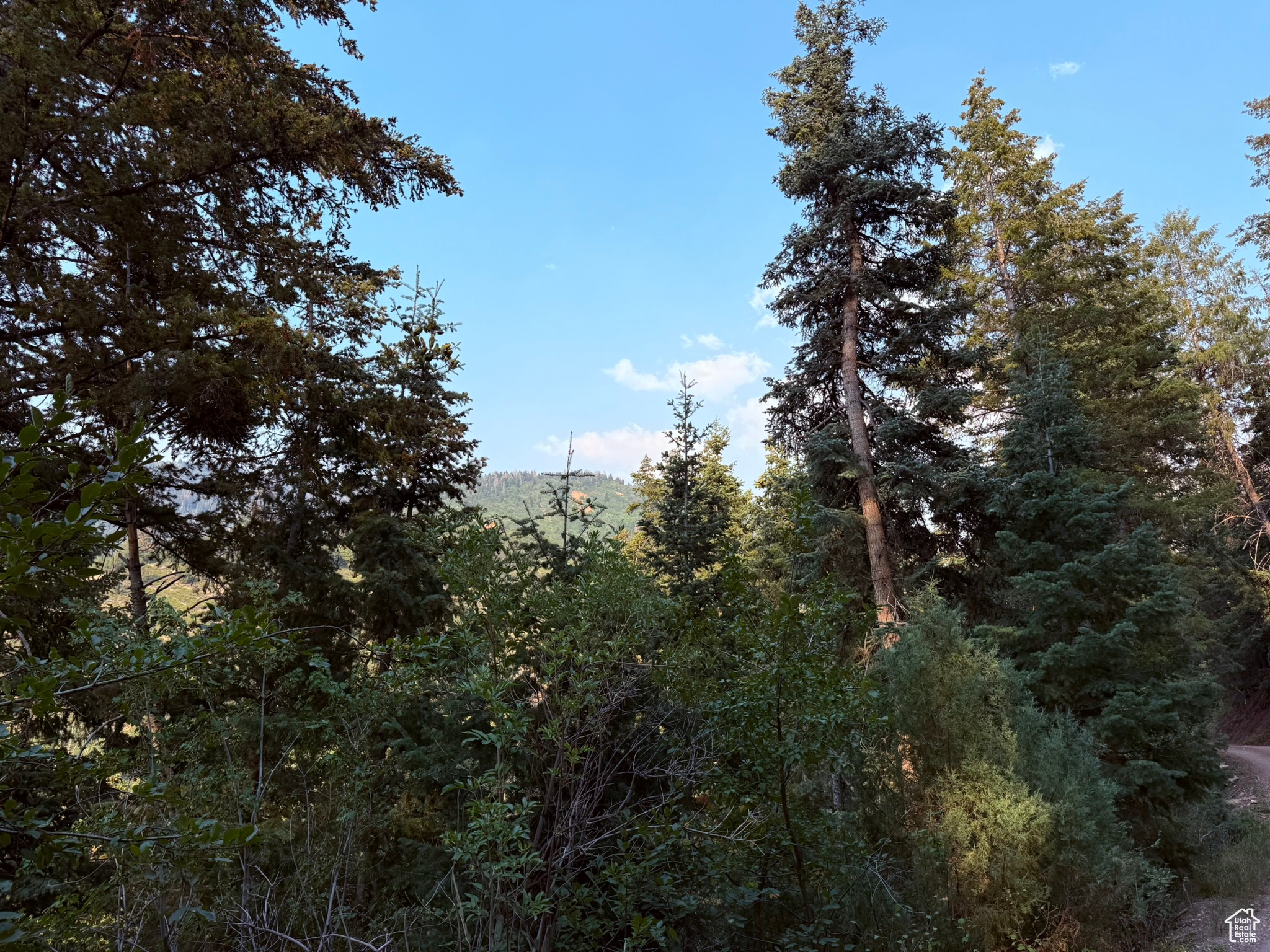 39  PINE CREEK RD