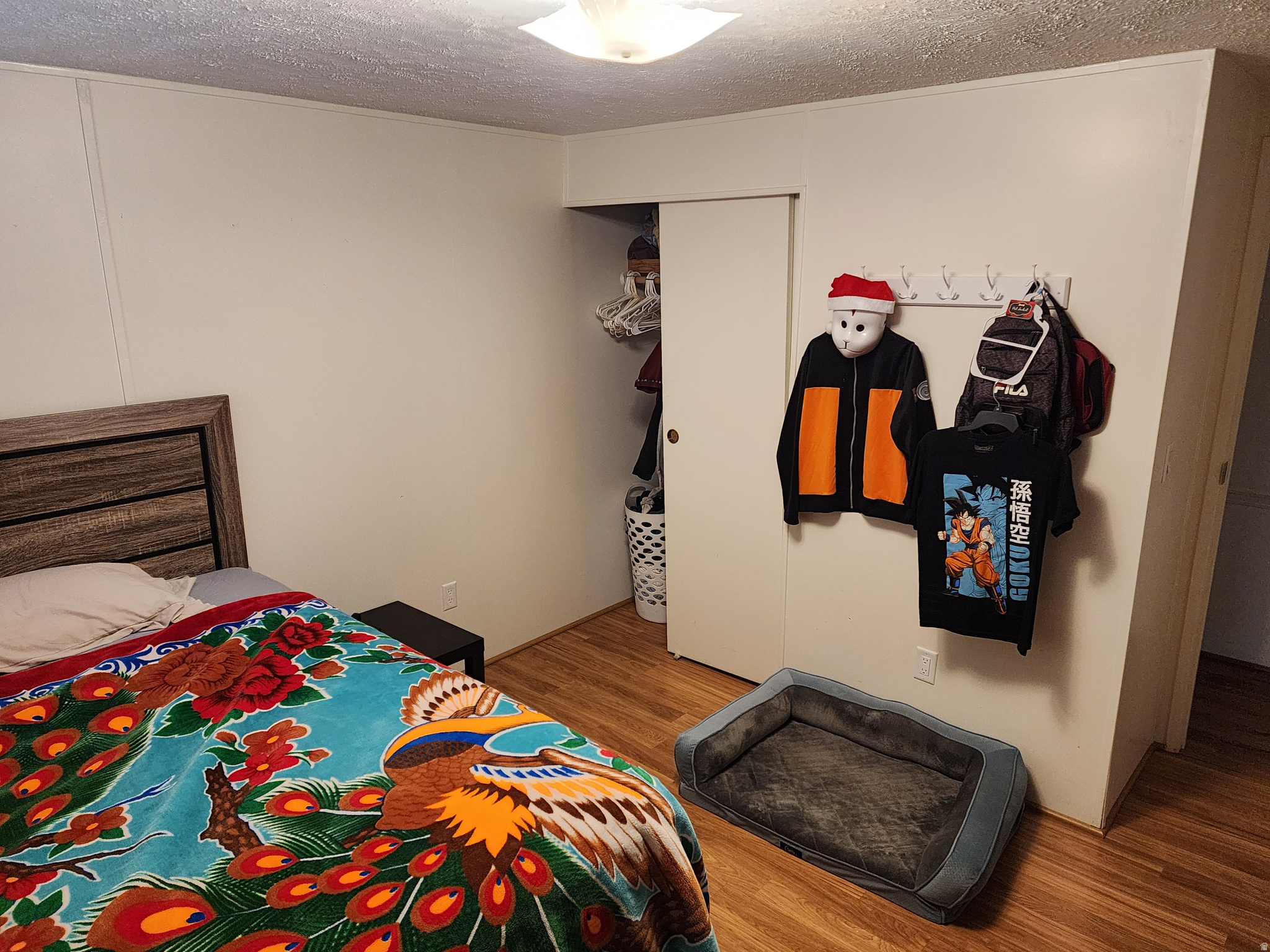Photo 5