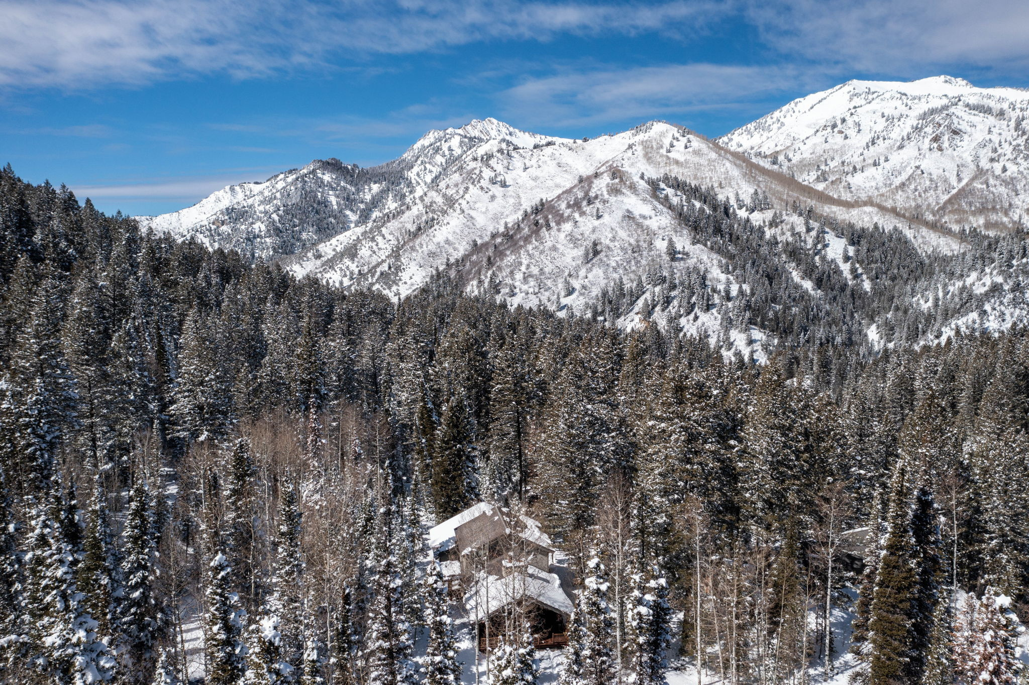 Photo of 9443 E WILD CLEMATIS LN, Brighton, UT 84121