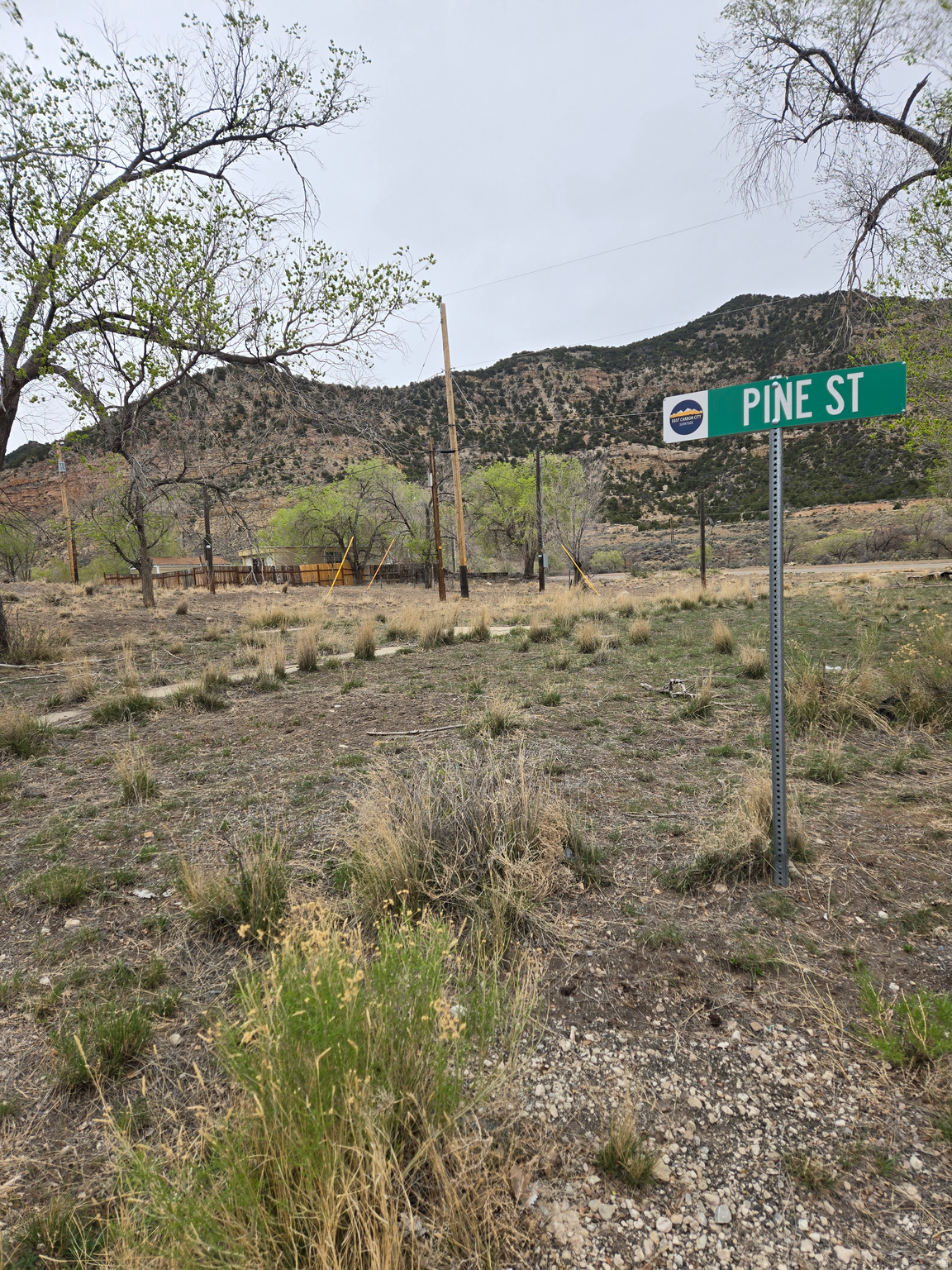700  PINE ST