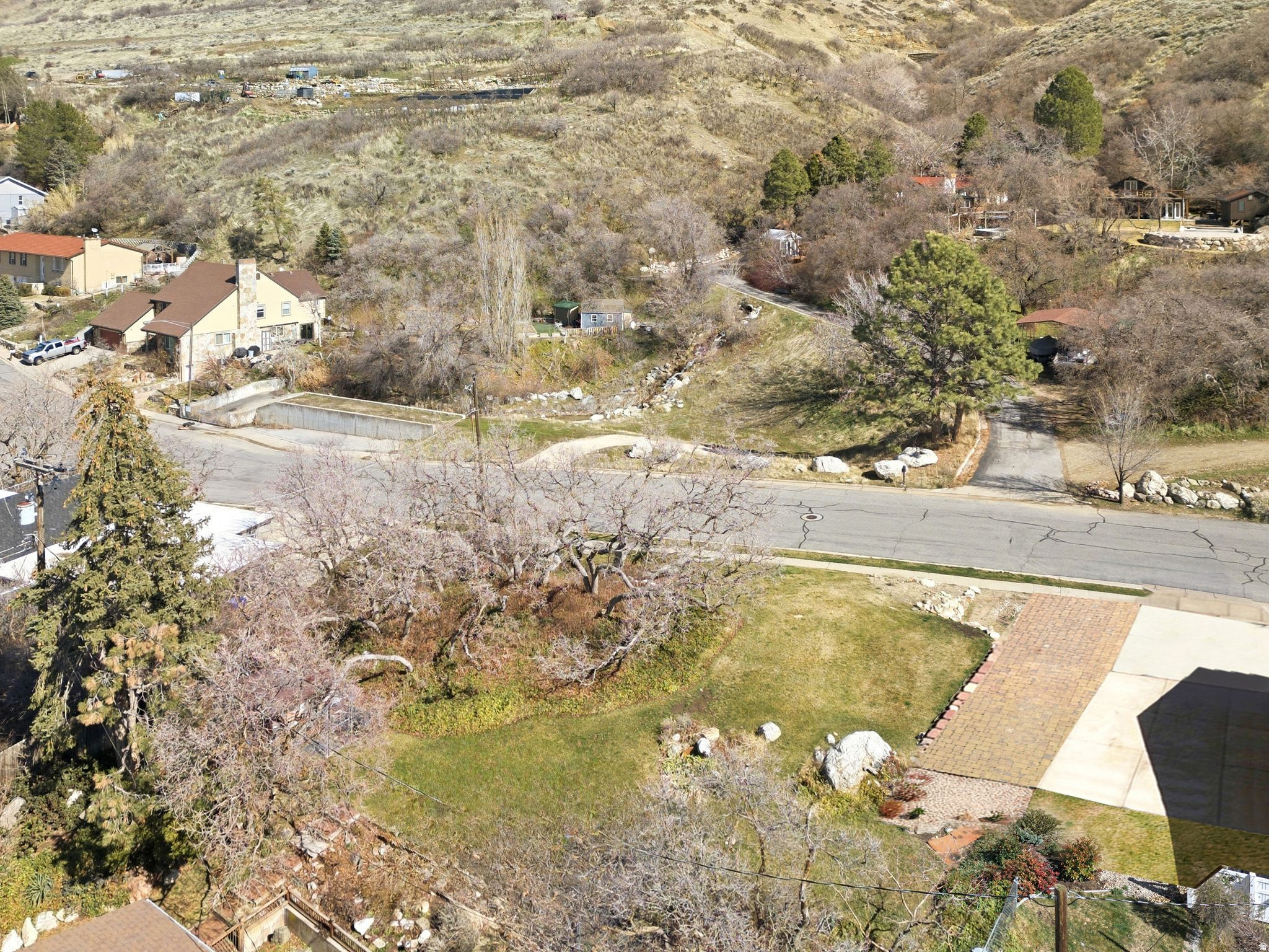 Photo 4