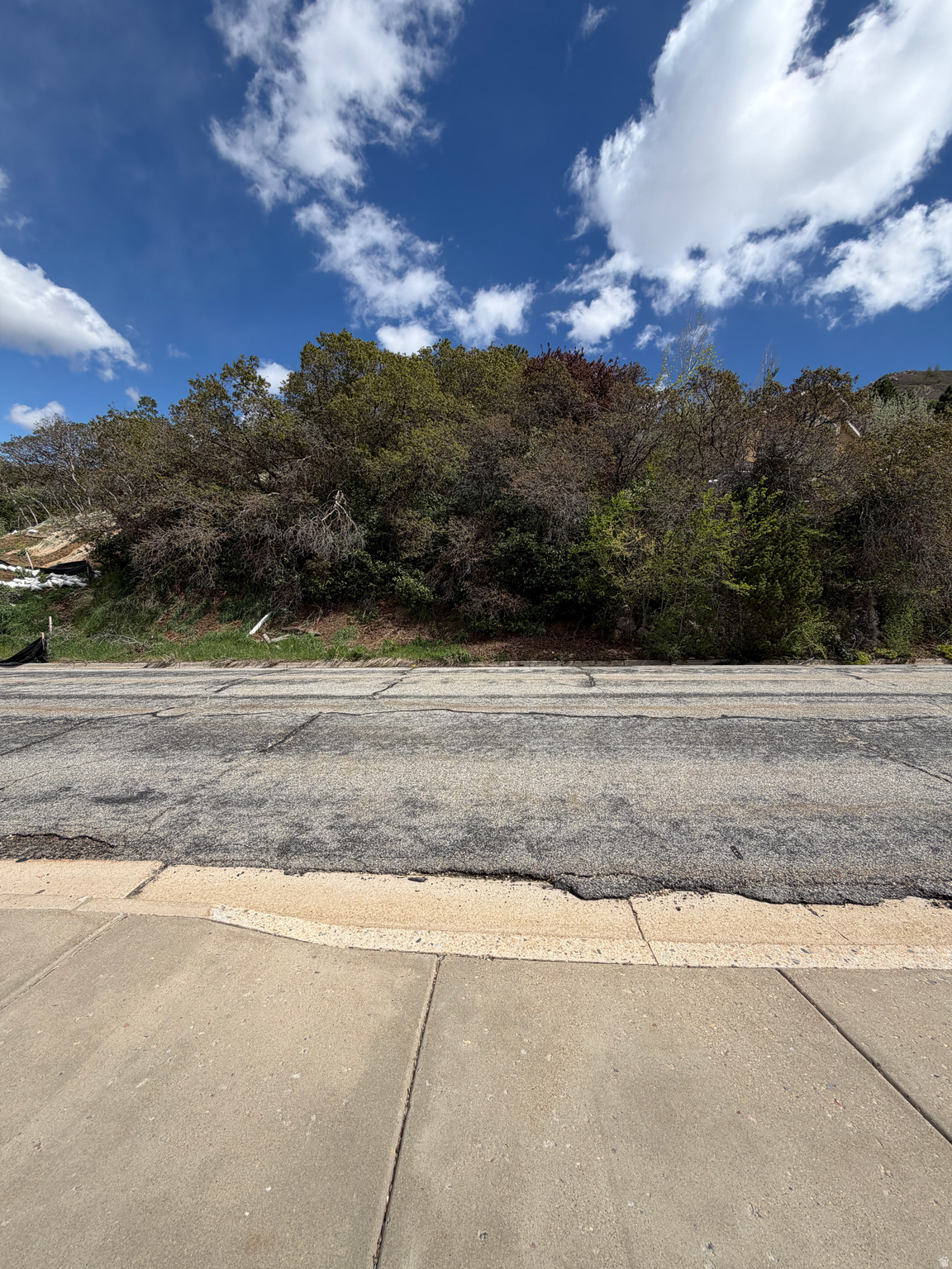 4184 S BONA VILLA DR