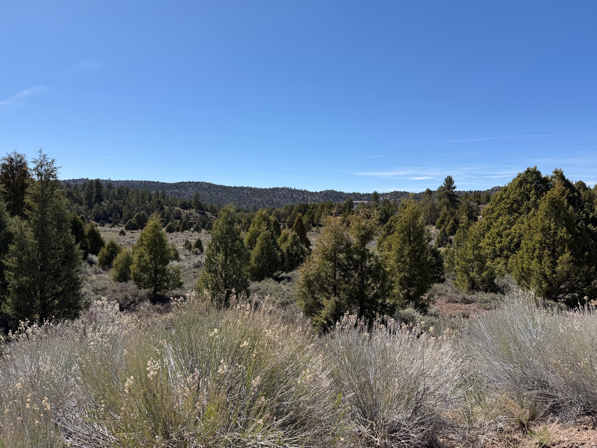 4129 N UINTAH DR