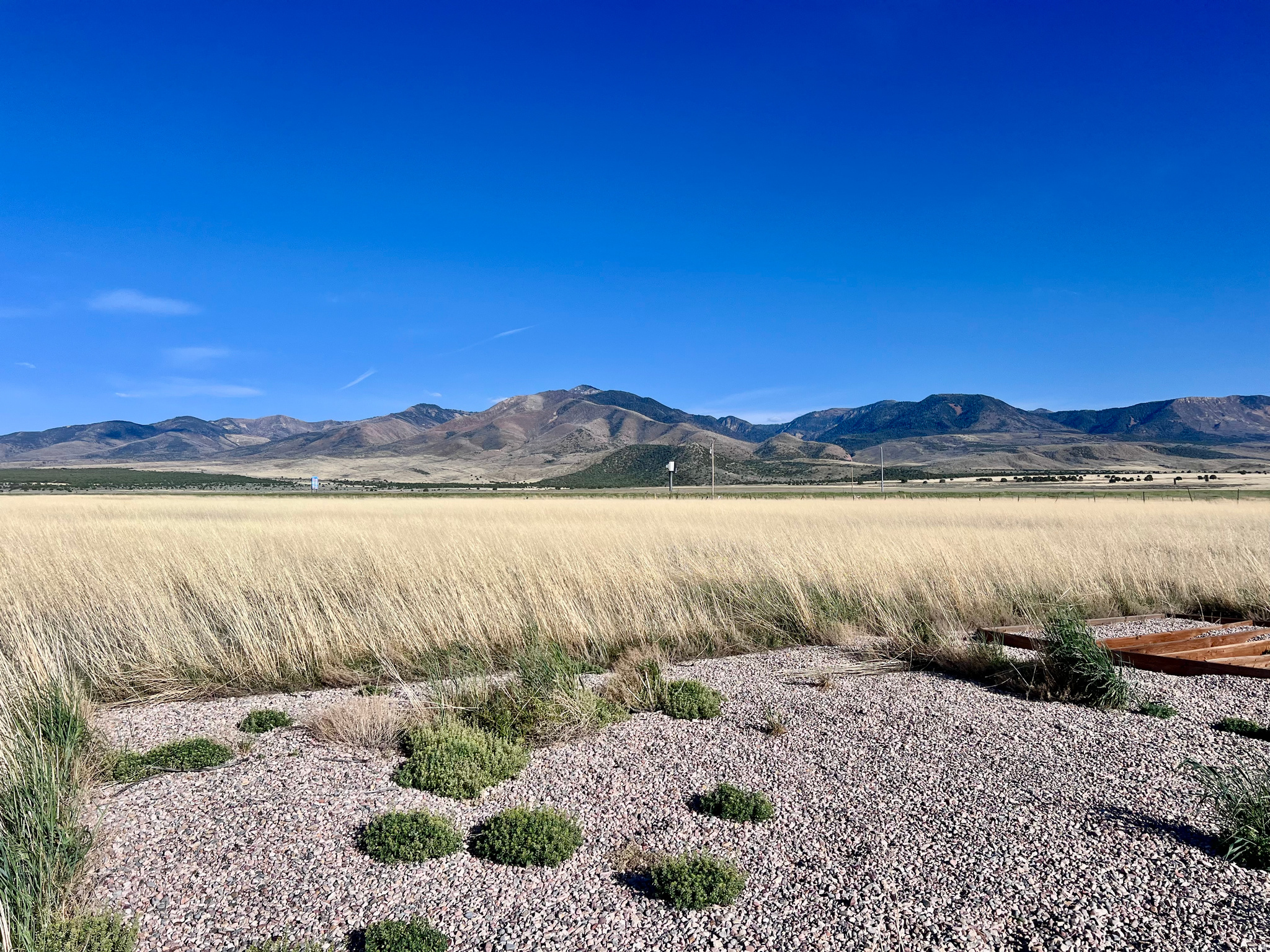 2000 S FRONTAGE RD