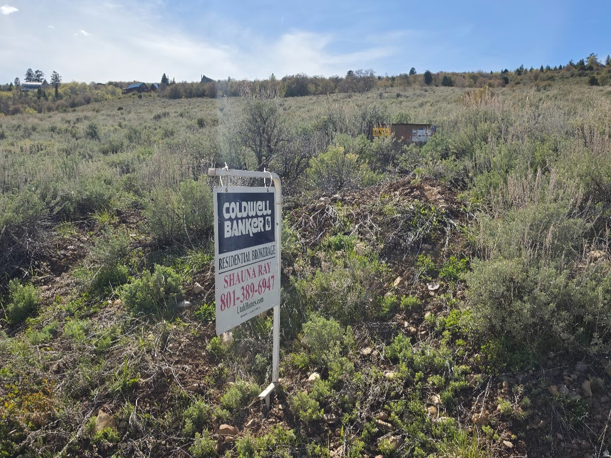 2575  SERVICEBERRY DR