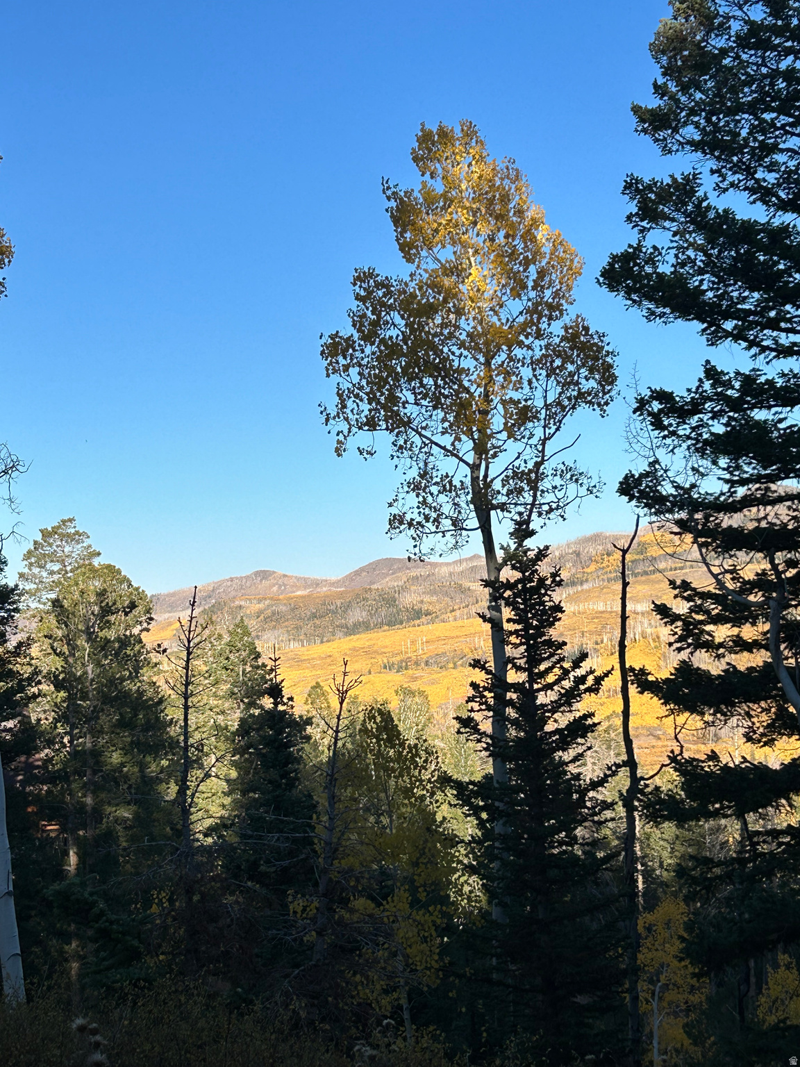 660 W SKI VIEW DR