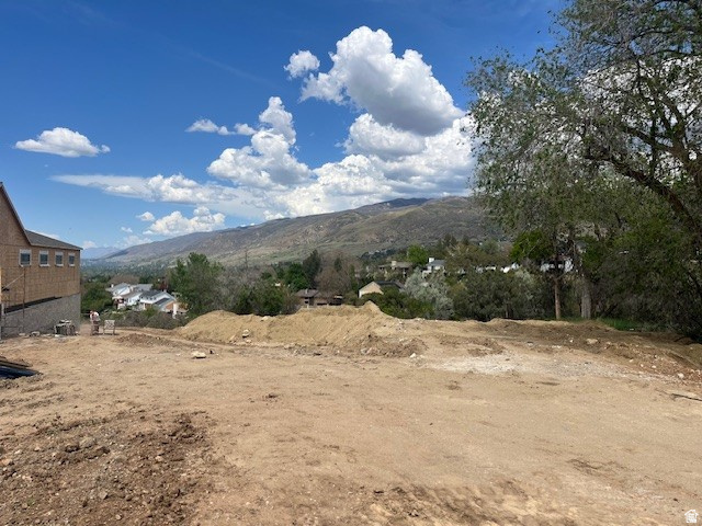 795 E ABBY LN