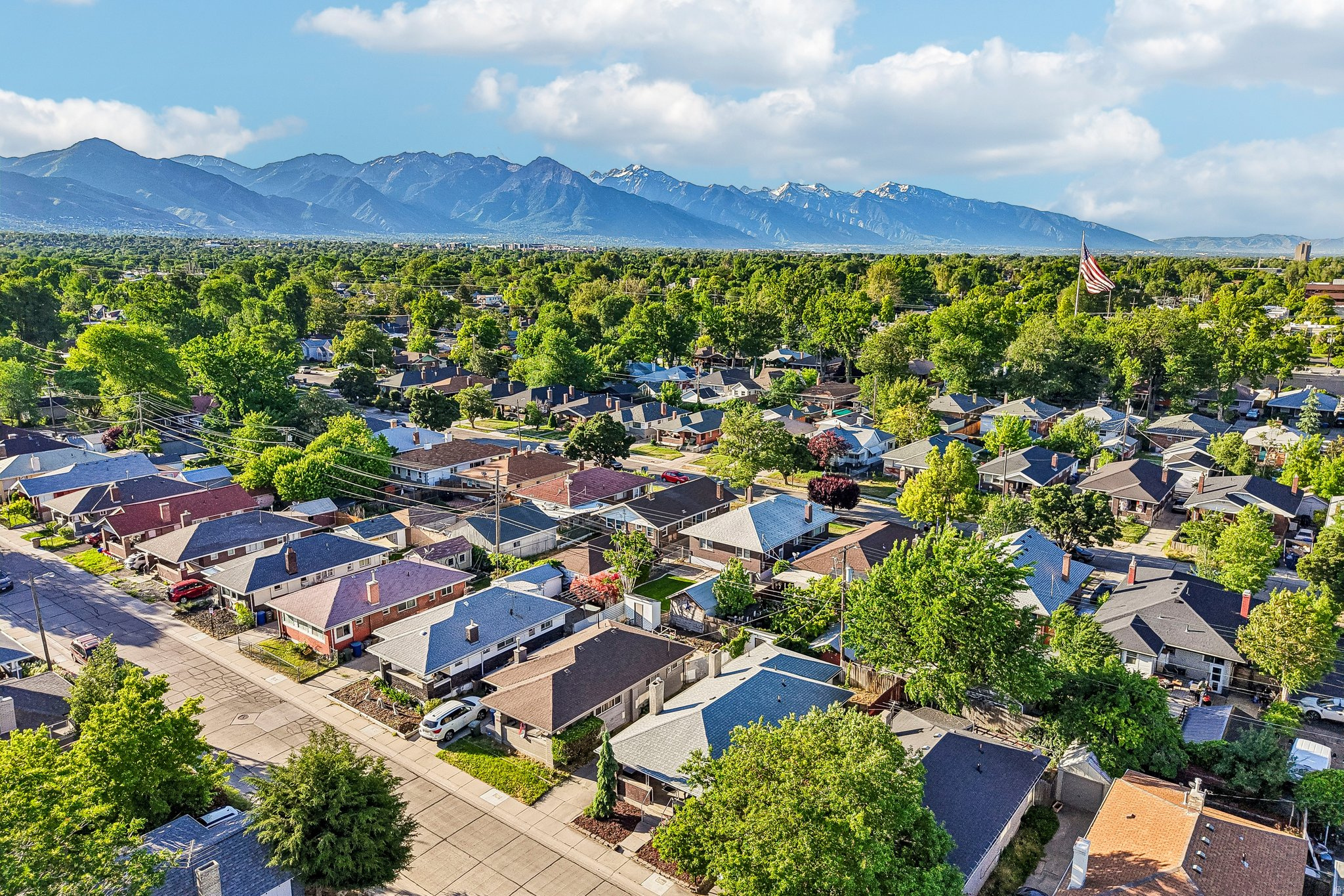 Aerial perspective showcasing a residential neighborhood with mature tree canopies