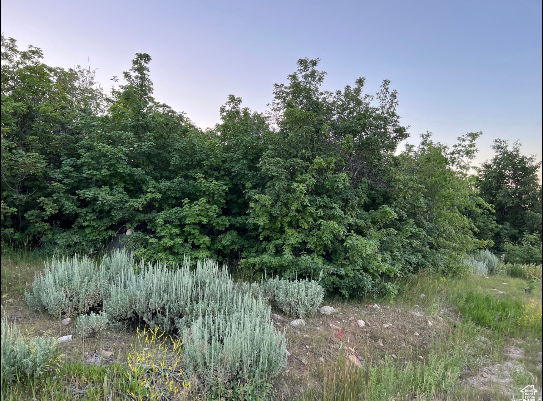 58  JUNIPER DR