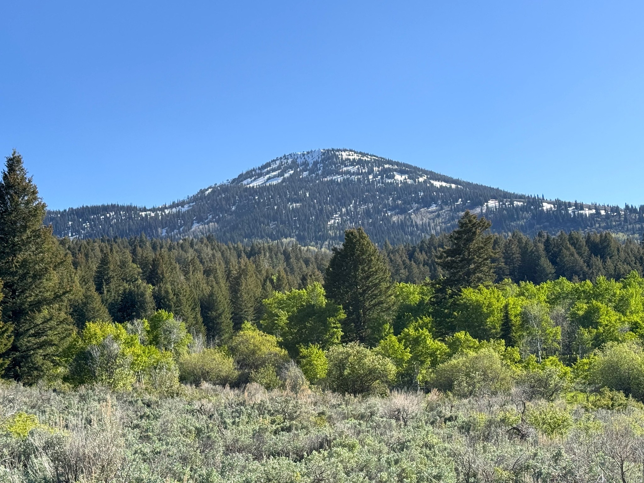 1200 S LANDS CREEK RD