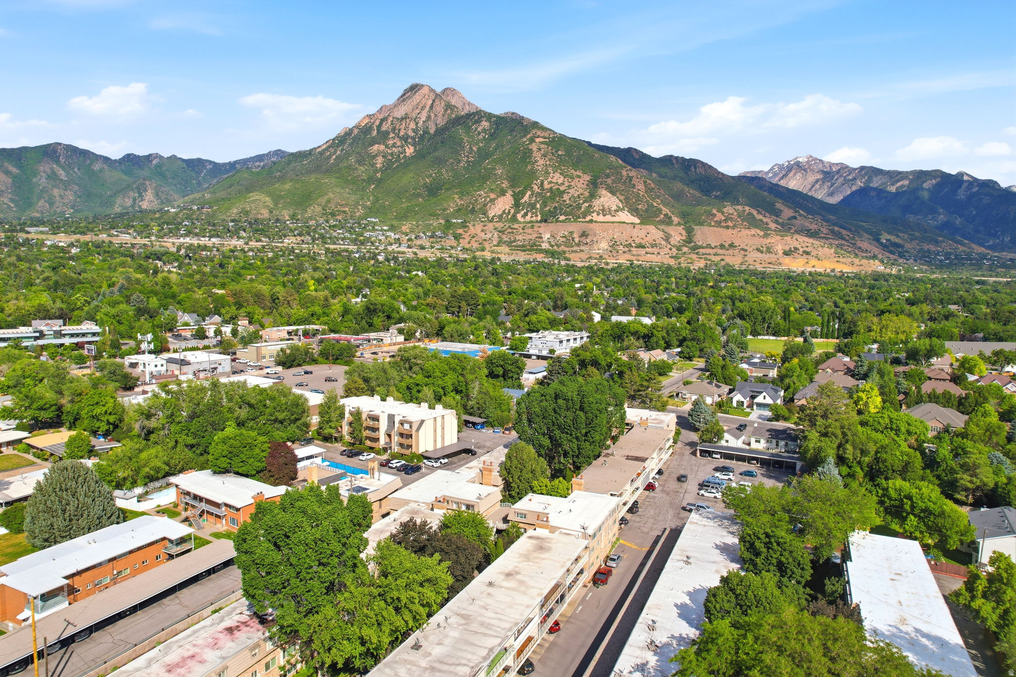 Elevated aerial perspective showcasing a verdant landscape with extensive tree cover and a prominent mountainous backdrop