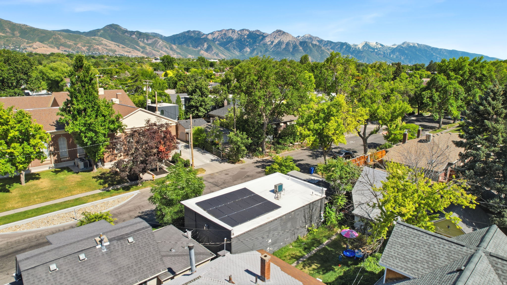 Expansive mountain range backdrop and mature tree canopy