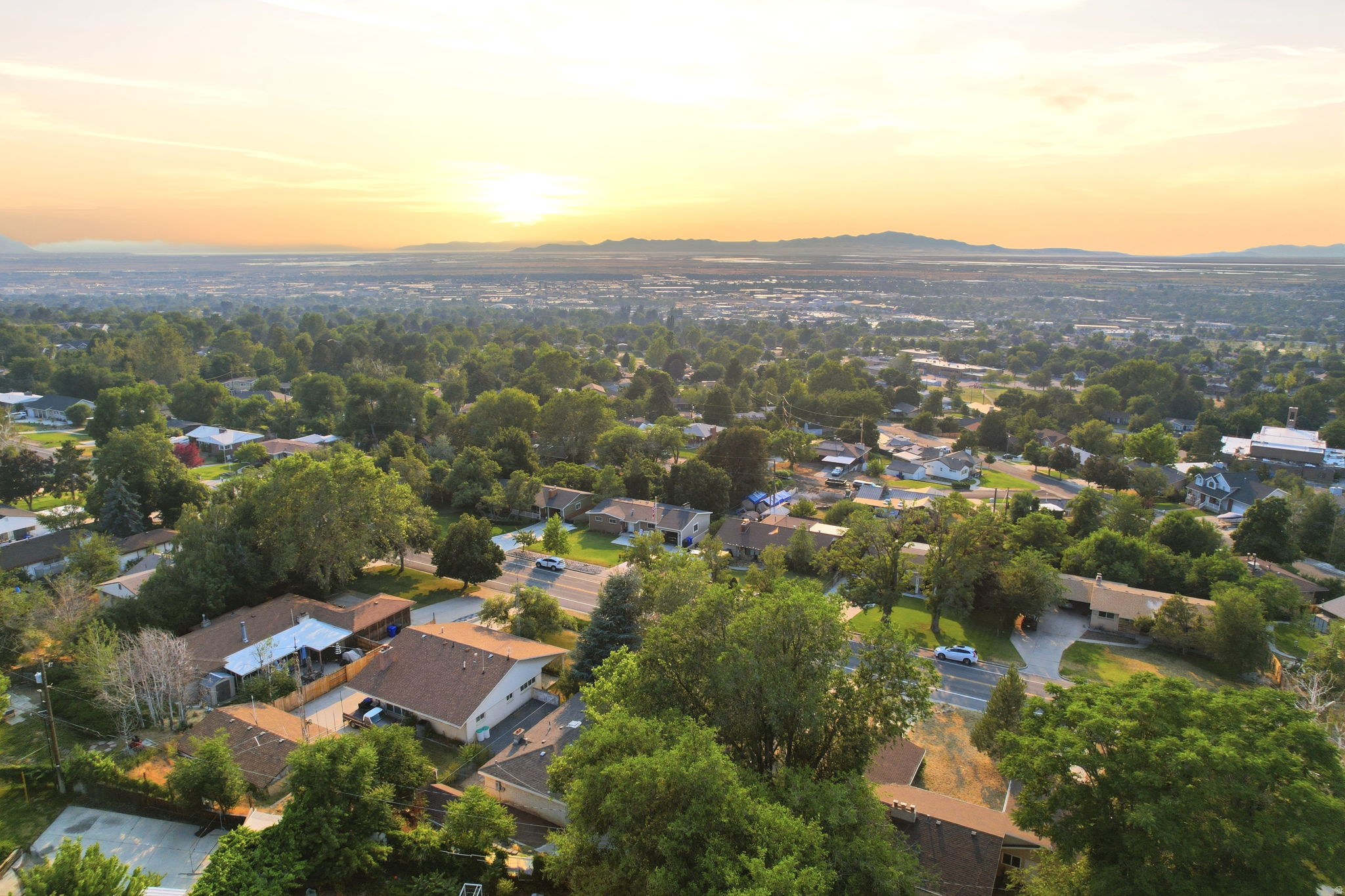 Expansive neighborhood landscape featuring numerous mature trees and a distant mountain range