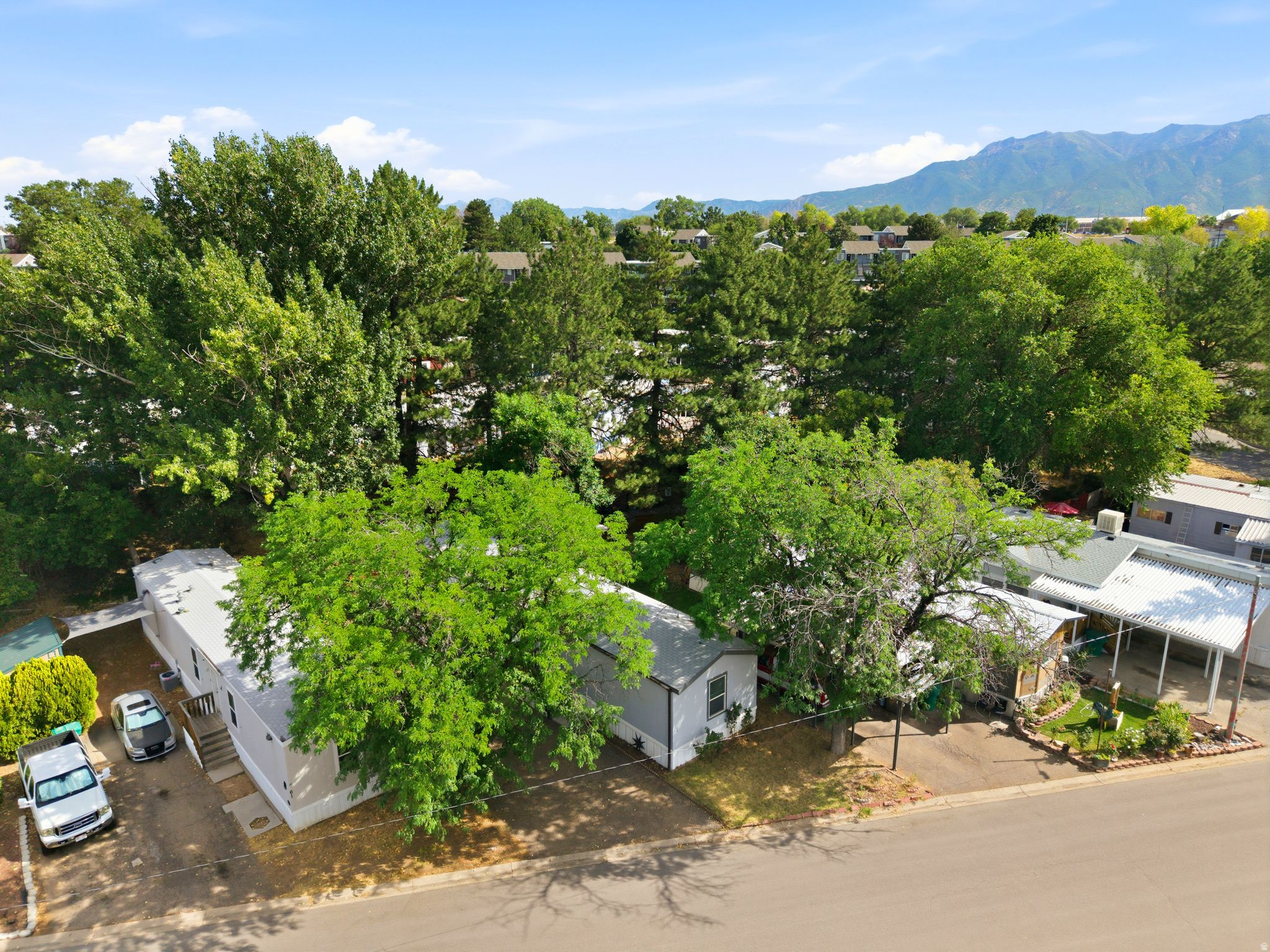 Residential street featuring multiple properties with mature trees and mountain scenery in the background