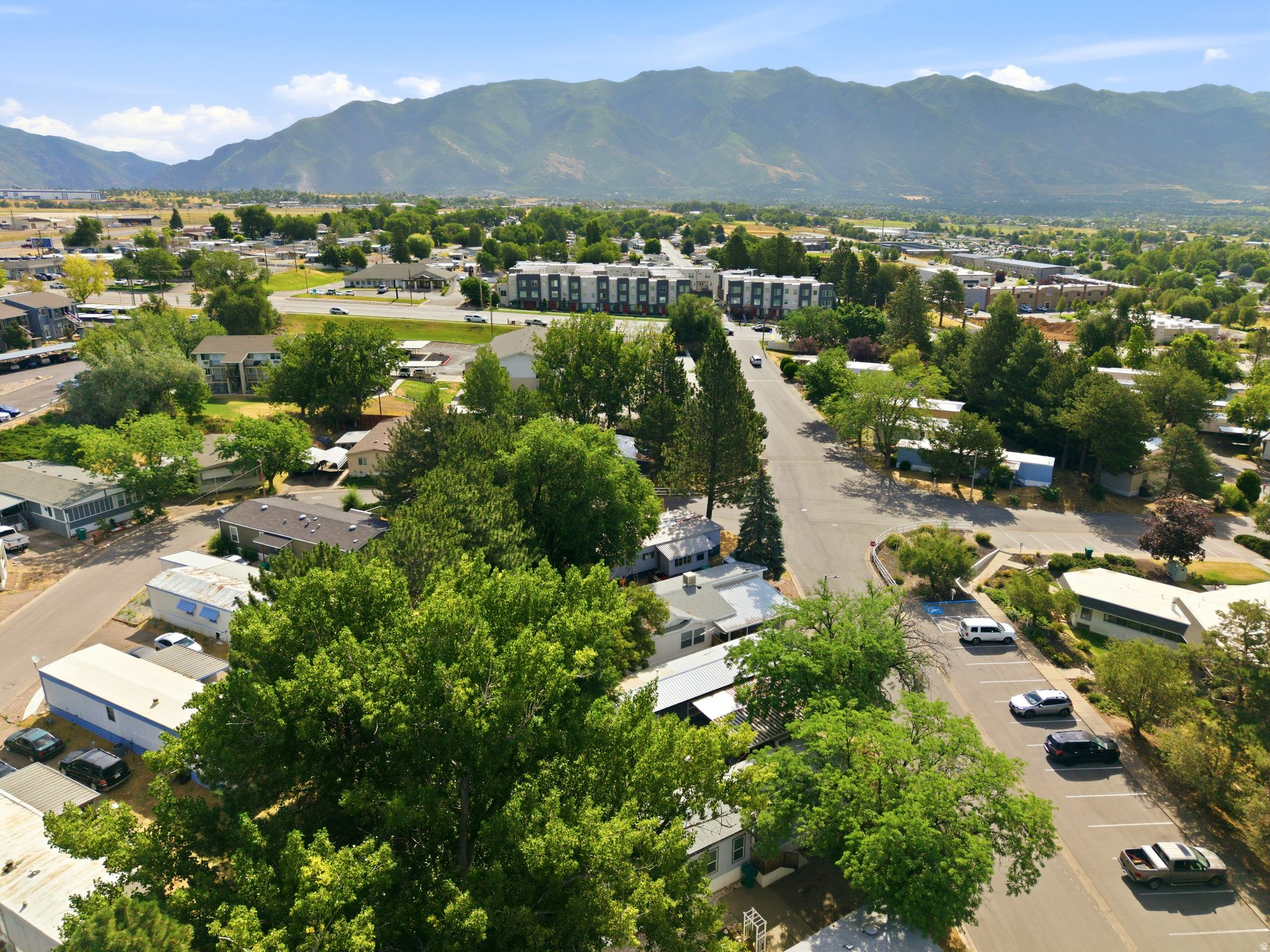 Aerial overview of a residential area with mature trees and paved roadways