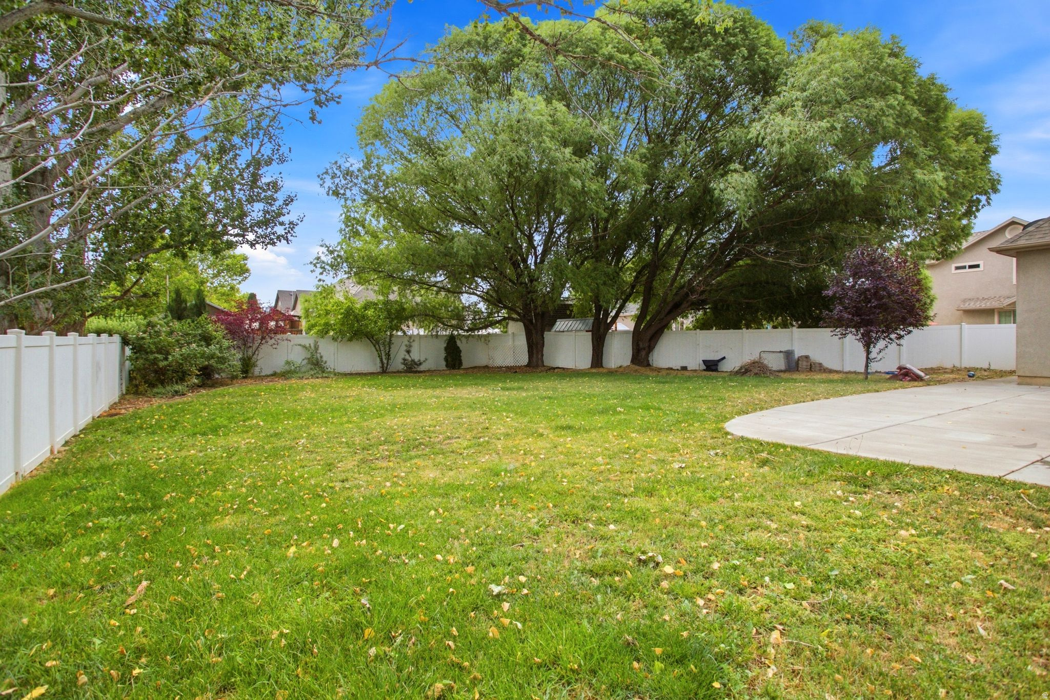 Expansive lawn area featuring a curved concrete patio, mature trees, and a white privacy fence
