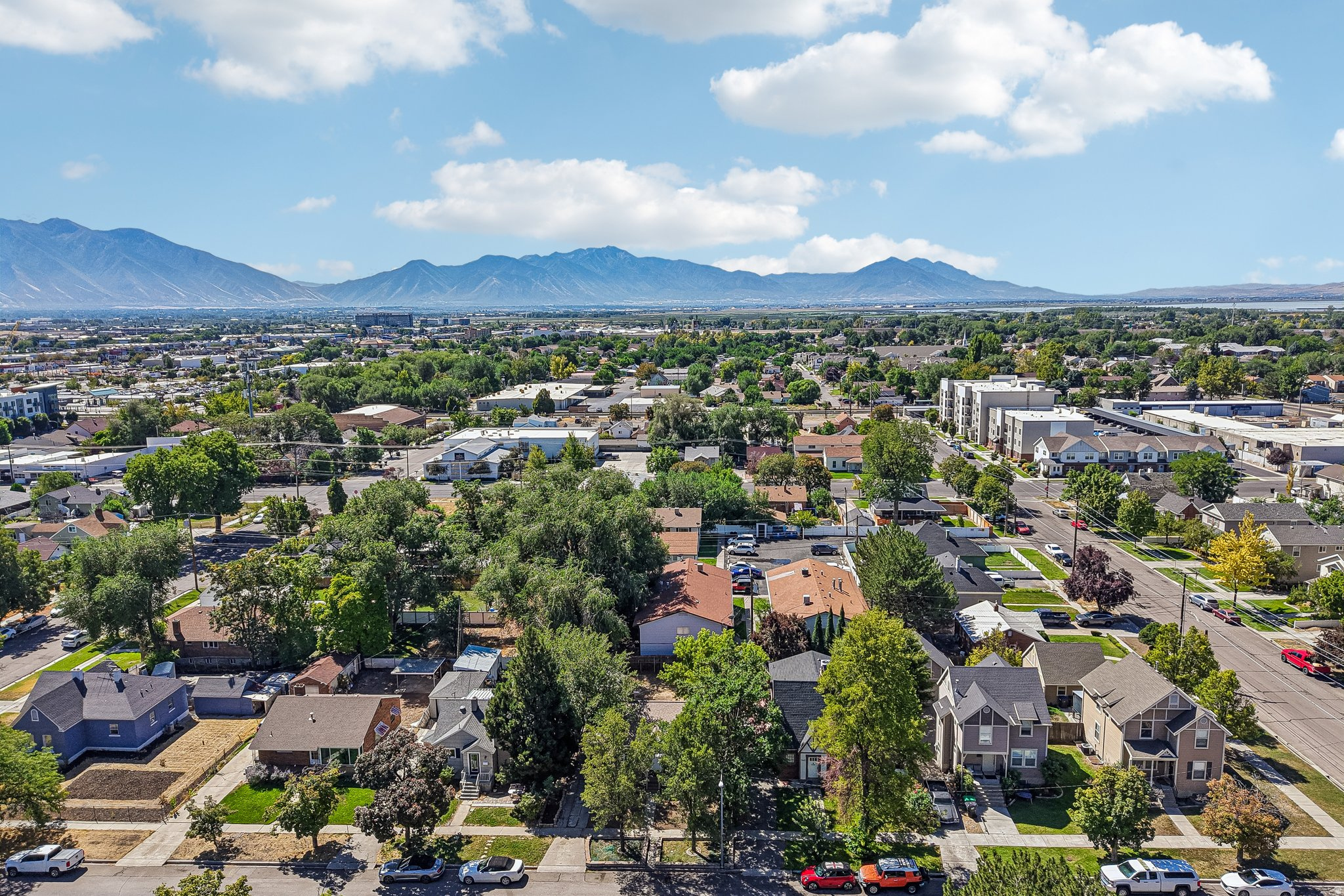 Aerial view showcasing a tree-lined residential neighborhood with mature landscaping, diverse architectural styles, and established homes situated on spacious lots